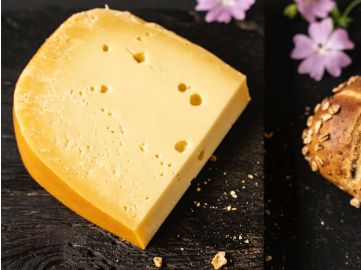 Bauernkäse aus Rohmilch | Mittelalt