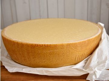 Parmesan Parmigiano Reggiano Pastaschüssel Pastaschale